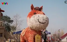 Thăm quan lễ hội bù nhìn rơm