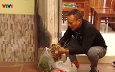 Phân loại rác tại nguồn: Giảm đáng kể lượng rác phải chôn lấp