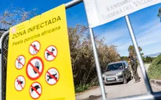 Tây Ban Nha điều tra khả năng dịch tả lợn châu Phi rò rỉ từ phòng thí nghiệm