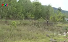 Mua đất dính “bẫy chồng bẫy”