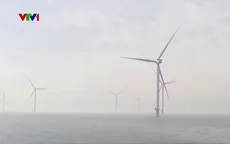 Lãng phí nguồn năng lượng từ điện gió ngoài khơi