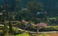 Tuyên Quang được vinh danh "Điểm đến văn hóa khu vực hàng đầu thế giới 2025" tại World Travel Awards