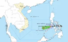 Áp thấp nhiệt đới gây gió giật cấp 8, biển động mạnh