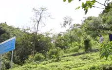 1 tỷ cây xanh - Nền móng sinh kế bền vững