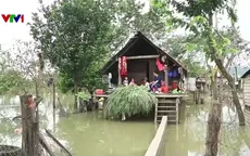 Gia Lai: Hàng chục căn nhà vẫn ngập sâu