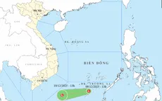 Xuất hiện vùng áp thấp trên khu vực phía Nam Biển Đông