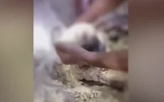 Kịp thời cứu sống bé gái sơ sinh bị vùi lấp trong lô cao su