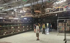 Núp bóng “nuôi chim cảnh” để hợp thức hóa buôn bán chim hoang dã