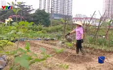 Gỡ vướng dự án công viên chậm tiến độ: Giải “cơn khát” không gian xanh cho Thủ đô