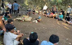 Đồng Nai: Triệt phá sòng bạc đá gà quy mô lớn, bắt giữ 32 đối tượng