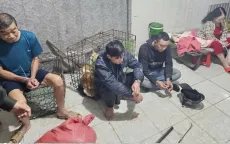 Khởi tố 3 đối tượng trong đường dây trộm chó ở Khánh Hòa