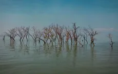 Dữ liệu mới đặt câu hỏi về mức độ ấm lên của Trái Đất