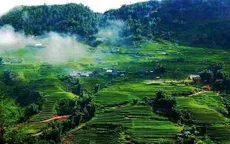 Sơn La nỗ lực ứng phó rét đậm: Chăn nuôi chủ động, giải pháp tổng lực bảo vệ đàn vật nuôi