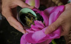 Truyền thống và sáng tạo trong Lễ hội văn hoá ẩm thực Hà Nội 2025