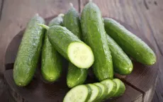 Dưa chuột và những lợi ích sức khỏe khi trời lạnh