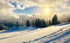 Bắc Cực ghi nhận năm ấm nhất trong hơn 1 thế kỷ