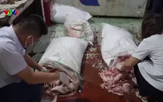 Khởi tố nhiều vụ giết mổ, tiêu thụ lợn bệnh tại Quảng Ngãi