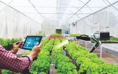 Nghị quyết 57 tạo hướng đi bền vững cho nông nghiệp xanh và kinh tế tuần hoàn