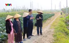 Hà Nội: Vướng mắc trong chính sách giao đất dịch vụ, nhiều hộ dân 20 năm chưa được nhận đất