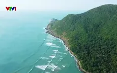 Giữ rừng, giữ biển giữa mùa gió chướng ở Côn Đảo