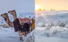 Tuyết phủ trắng sa mạc, tạo nên “thiên đường mùa đông” hiếm có ở Saudi Arabia