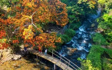 Gia Lai mở không gian mới cho Năm Du lịch quốc gia 2026: Hội tụ bản sắc, lan tỏa xanh