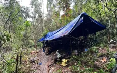 Vào rừng ở Đà Nẵng dựng lán trại, thăm dò để đào vàng trái phép