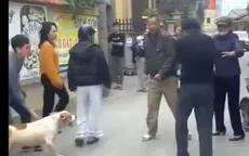 Xác minh clip chó tấn công người trong lúc xảy ra xô xát ở Hà Nội