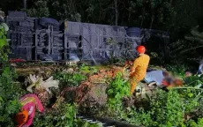 Xe bus lao xuống vực sâu tại Philippines, ít nhất 6 người thiệt mạng