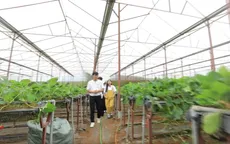 Sinh viên thế hệ mới 2025 - Tập 8: 48h căng thẳng của vòng Thực tế khu vực miền Nam