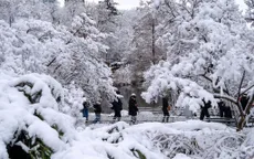 Bão tuyết nghiêm trọng tại Mỹ khiến hàng nghìn chuyến bay gián đoạn