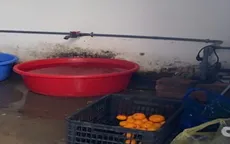 Hà Nội: Phát hiện loạt vi phạm nghiêm trọng trong cung cấp suất ăn bán trú cho trường học ở Mỹ Đức