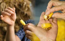 Tằm tự dệt tơ - Nghệ thuật từ những nong kén Phùng Xá