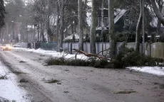 Một số nước châu Âu thiệt hại nặng nề bởi thời tiết cực đoan