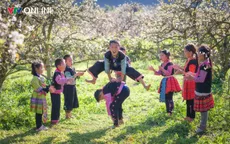 Mộc Châu hút khách Tết Dương lịch