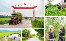 Ban hành Bộ tiêu chí quốc gia về nông thôn mới giai đoạn 2026-2030