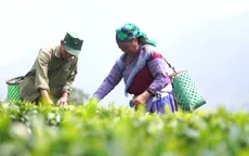 Từ giảm nghèo còn 1% đến cơ bản không còn hộ nghèo