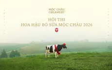 Hội thi Hoa hậu Bò sữa 2026: Di sản từ cao nguyên Mộc Châu trở lại