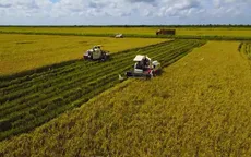 PTL "Cuba - Việt Nam: Anh em từ sự lựa chọn": Tập 4 - Hạt giống của tương lai (22h, VTV9)