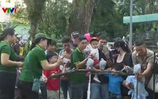 Các điểm vui chơi ở TP Hồ Chí Minh nhộn nhịp ngày đầu năm mới