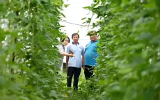 Việt Nam - Đến và Yêu: Khi những người ngoại quốc chọn mảnh đất hình chữ S để gửi gắm khát vọng