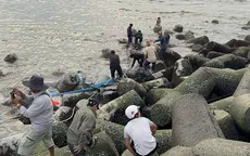 Lâm Đồng: Tìm kiếm thuyền viên mất tích tại cửa biển La Gi