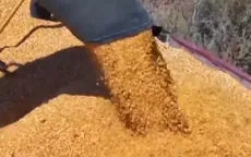 Indonesia ngừng nhập khẩu một số loại lương thực