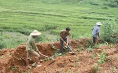 Mua đất giấy viết tay, 20 năm sau phát hiện nằm trong đất công