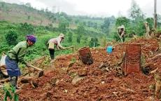 Chống sa mạc hóa gắn với quản lý bền vững đất đai và tài nguyên