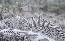 Thời tiết ngày 7/1: Đề phòng băng giá và sương muối ở khu vực vùng núi cao Bắc Bộ