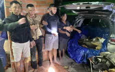 Triệt phá đường dây trộm cắp, tiêu thụ hơn 1,6 tấn chó trộm ở Tây Ninh