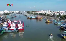 Ba tuần liên tiếp không có tàu cá Việt Nam bị nước ngoài bắt giữ