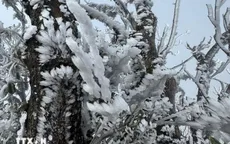 Nhiệt độ xuống dưới 0°C, băng giá xuất hiện tại miền tây Nghệ An