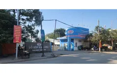 Bắt khẩn cấp Tổng Giám đốc Công ty Cổ phần đồ hộp Hạ Long